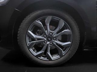 FORD Focus usata, con Fendinebbia