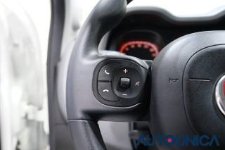 FIAT Panda usata, con Volante multifunzione