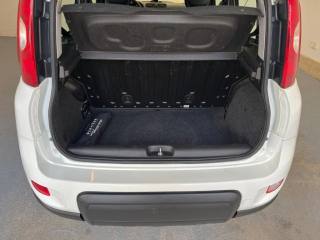 FIAT Panda usata, con Controllo trazione