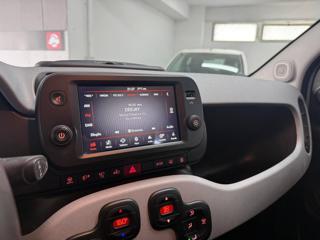 FIAT Panda usata, con Controllo automatico clima
