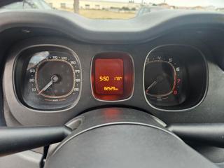 FIAT Panda usata, con Controllo trazione