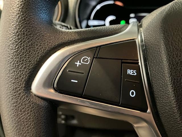 DACIA Spring usata 16