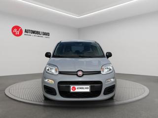 FIAT Panda usata, con Antifurto