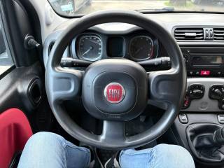 FIAT Panda usata, con Immobilizzatore elettronico