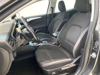 FORD Focus usata, con Cruise Control