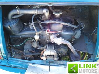 FIAT 500 usata 13