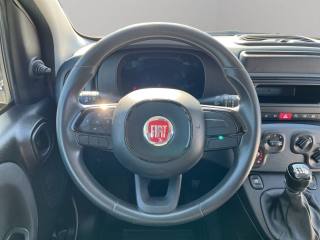 FIAT Panda usata, con Immobilizzatore elettronico