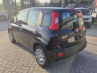 FIAT Panda usata, con Chiusura centralizzata