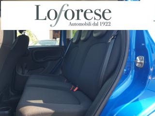 FIAT Panda usata, con Controllo trazione