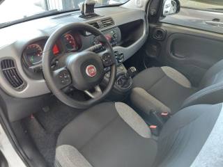 FIAT Panda usata, con Servosterzo