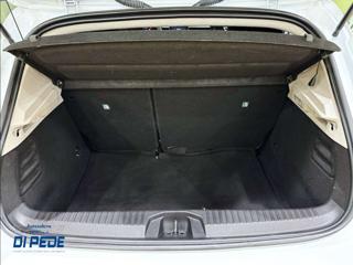 RENAULT Clio usata, con Fendinebbia
