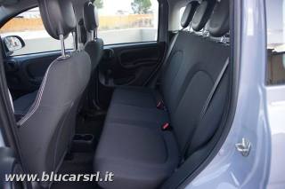 FIAT Panda usata, con Servosterzo