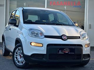 FIAT Panda 1.0 FireFly S&S Hybrid - NO VINCOLI FINANZIARI