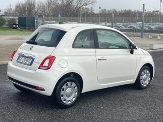 FIAT 500 usata 21