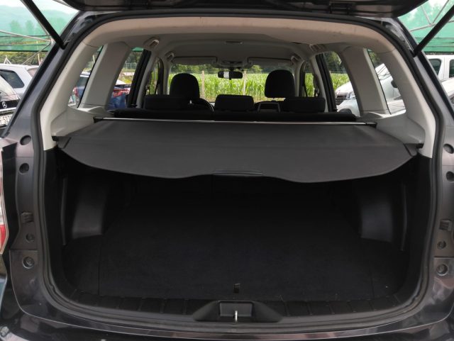 SUBARU Forester usata, con Fendinebbia