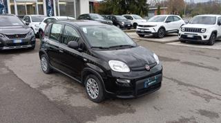 FIAT Panda usata, con Airbag Passeggero