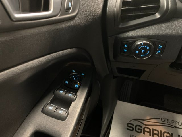 FORD EcoSport usata, con Volante in pelle