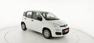 FIAT Panda usata 48