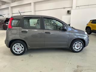 FIAT Panda usata, con Alzacristalli elettrici