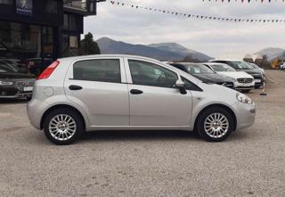 FIAT Punto usata, con Fendinebbia