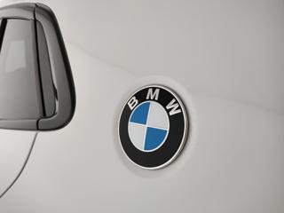 BMW X2 usata, con Controllo elettronico della corsia