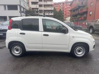 FIAT Panda usata, con Servosterzo