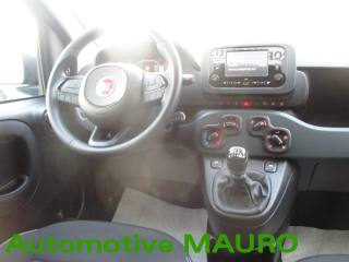 FIAT Panda usata, con Sensori di parcheggio posteriori