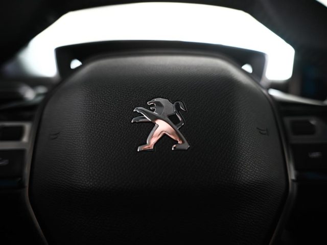 PEUGEOT 3008 usata, con Luci diurne LED