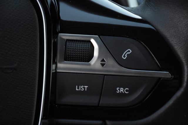 PEUGEOT 3008 usata, con Vetri oscurati