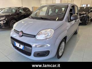 FIAT Panda usata, con Controllo trazione