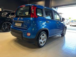 FIAT Panda usata, con Antifurto