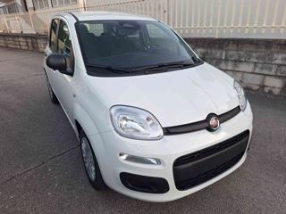 FIAT Panda usata, con Airbag