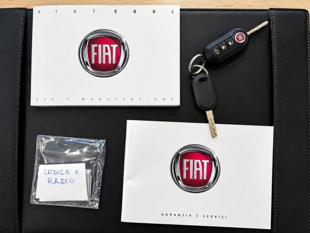 FIAT 500L usata, con Fendinebbia