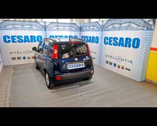 FIAT New Panda usata, con Airbag Passeggero