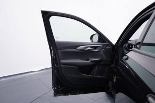 ALFA ROMEO Tonale usata, con Cruise Control