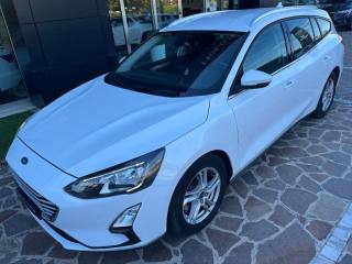 FORD Focus SW 1.5 EcoBlue 120cv Automatica Business Co-Pilot