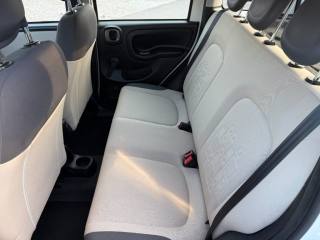 FIAT Panda usata 11