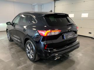 FORD Kuga usata, con Airbag Passeggero