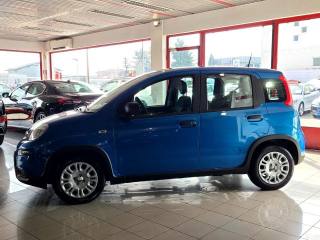 FIAT Panda usata, con Airbag Passeggero