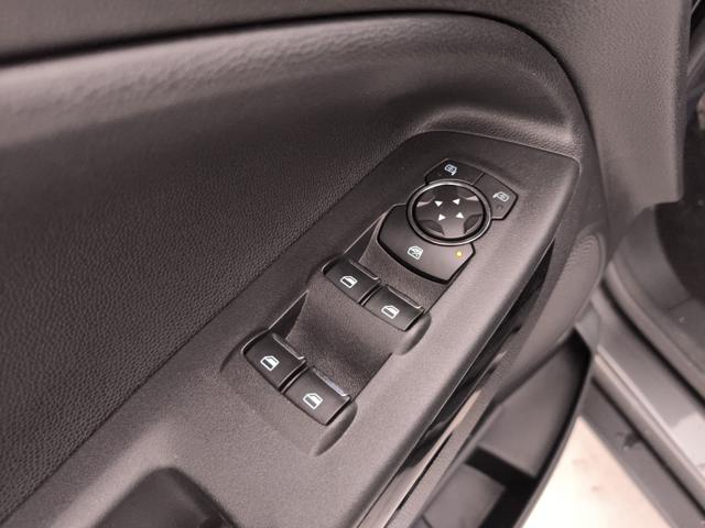 FORD EcoSport usata, con Volante in pelle