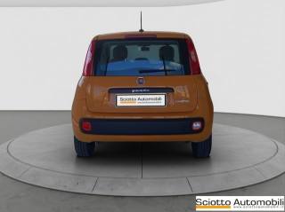 FIAT Panda usata, con Cerchi in lega