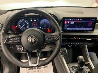 ALFA ROMEO Tonale usata, con Cronologia tagliandi