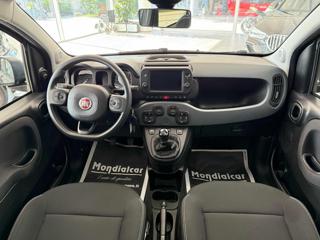 FIAT Panda usata, con Fendinebbia