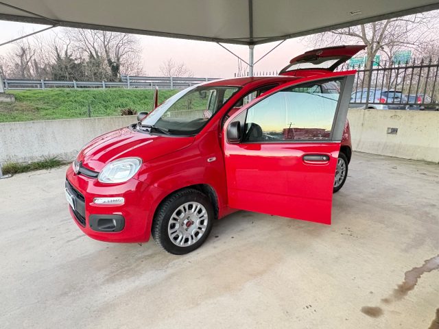 FIAT Panda usata 39
