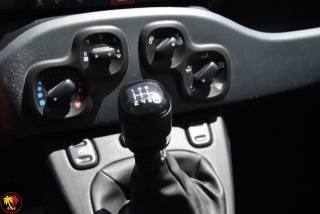 FIAT Panda usata, con Immobilizzatore elettronico