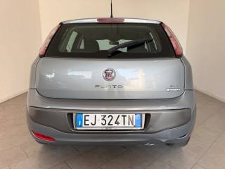 FIAT Punto Evo usata 5