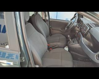 FIAT New Panda usata 21