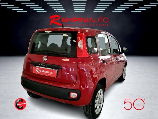 FIAT Panda usata 7