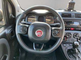 FIAT Panda usata 10