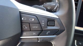 SEAT Ateca usata 91
